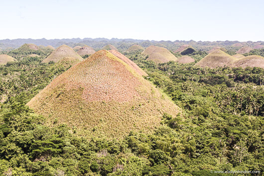 Chocolate Hills, Bohol