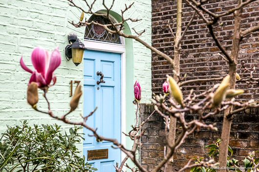 Colorful House with Spring Flowers in London in Earls Court