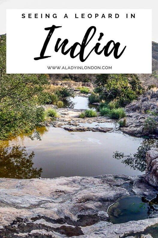 Ranthambore National Park in Rajasthan, India