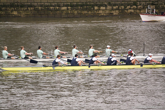 Rowers on the Thames in London