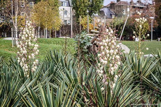 Park in Clerkenwell, London