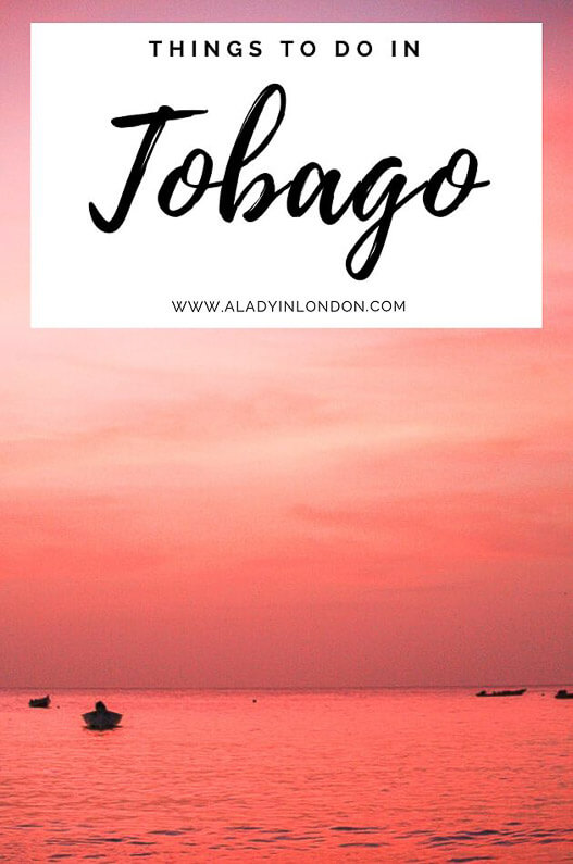 Things to Do in Tobago