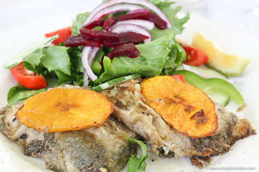 Mahi-Mahi at the Fish Pot Restaurant in Tobago
