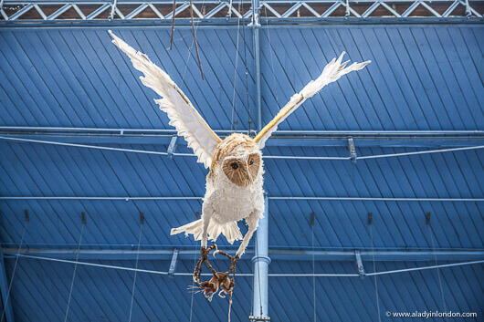 Owl Art