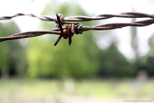 Barbed Wire Fence outside a Crematorium in Hampstead Garden Suburb