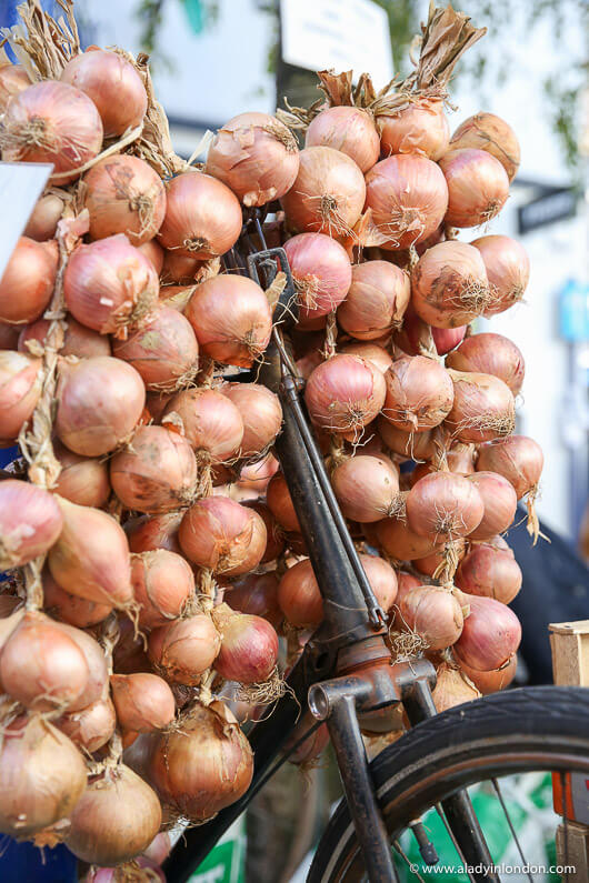 Onions on a Bicycle