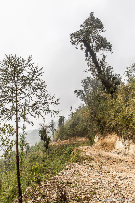 Choyatar Community Forest