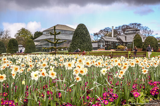 Glasgow Botanic Gardens