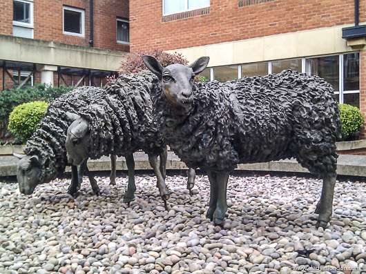 Sheep Sculpture in Guildford, England