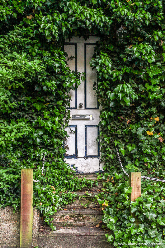 Hidden Door in Hampstead Garden Suburb, North London