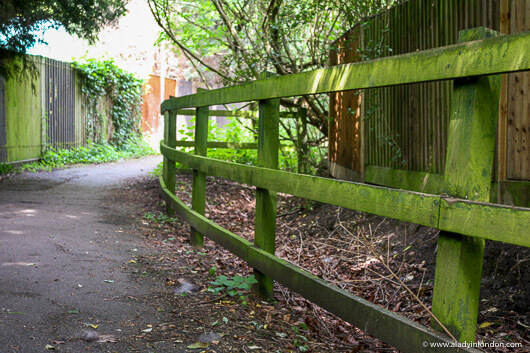 Moss Covered Wooden Fence in Hampstead Garden Suburb