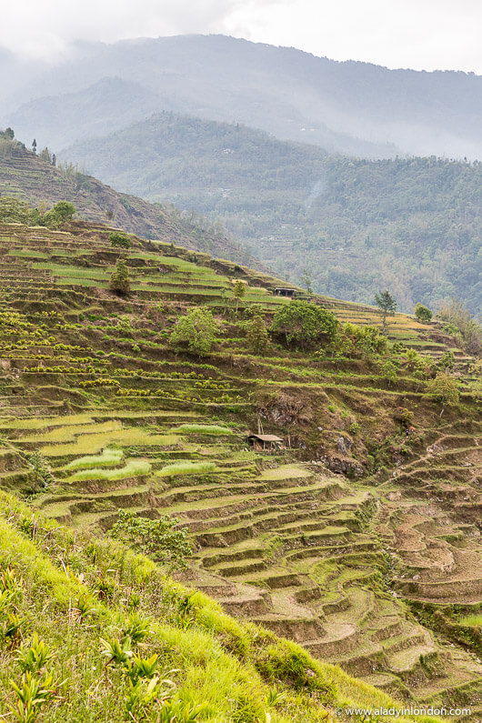 Ilam, Nepal