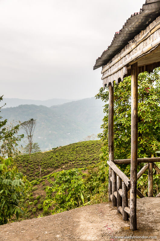 Ilam, Nepal