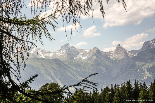 View of the Swiss Alps in Summer