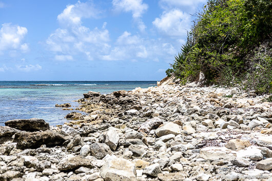 Beach in Antigua