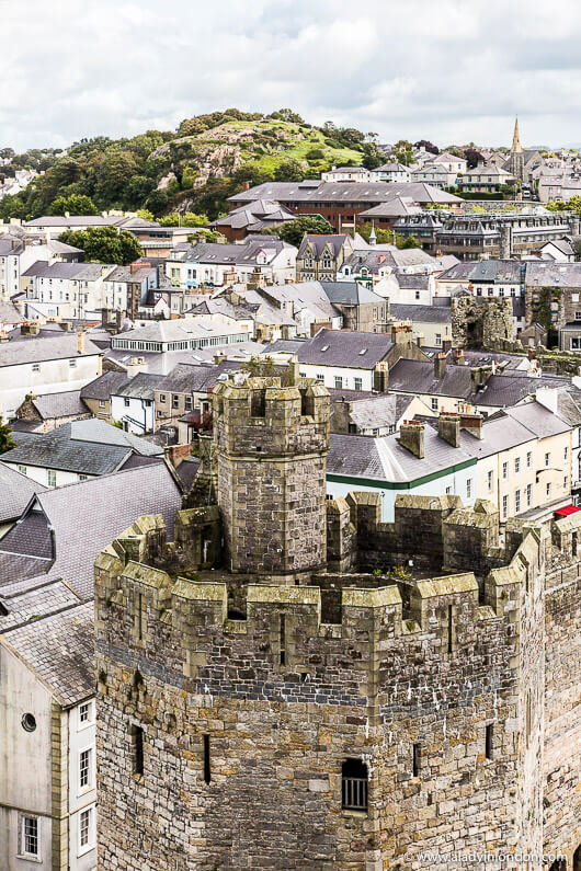 Caernarfon Castle