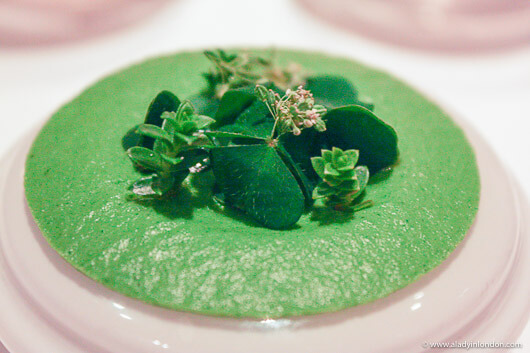 Soup in Copenhagen