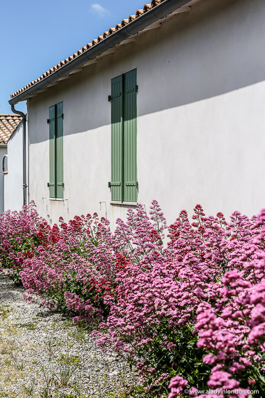 House on the Ile de Re, France