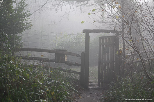 Gate at Lime Wood Hotel
