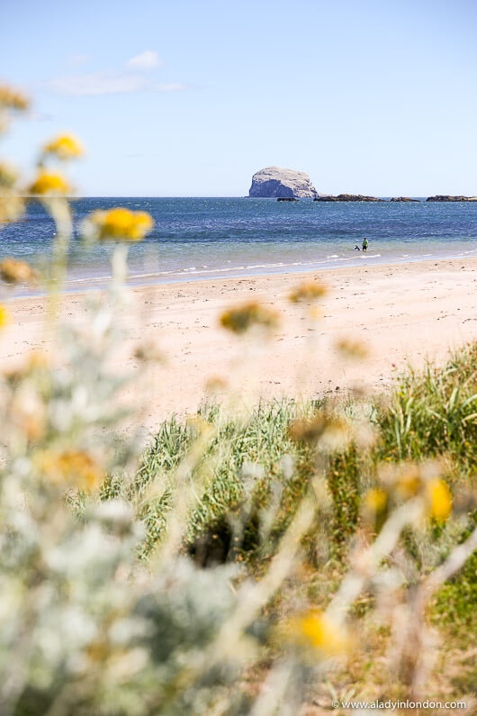 North Berwick, Scotland