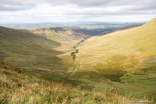 View from Cribyn