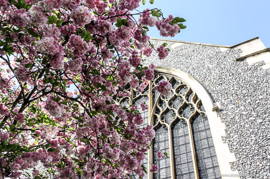 St Mary Magdalene Church in Richmond, London