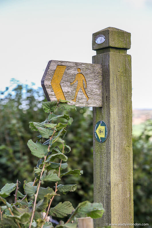 Trail Marker in Brecon Beacons National Park