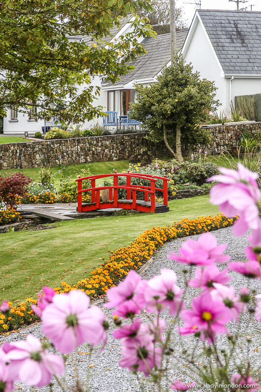 Garden in Ardmore, Ireland