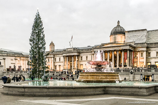 Christmas Tree in Trafalgar Square