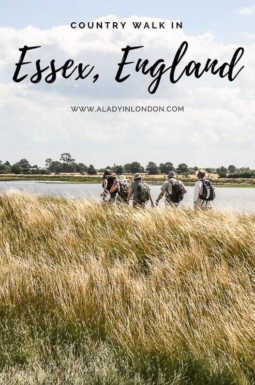 Country Walk in Essex
