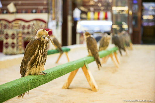 Falcon Souq in Doha, Qatar