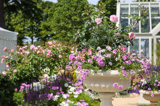 Hampton Court Palace Garden Festival Flower Urn