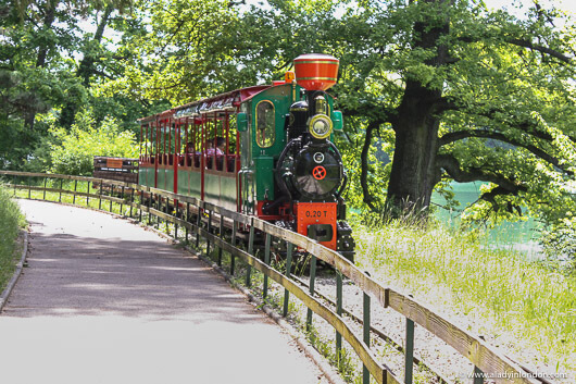 Steam Train in Lyon