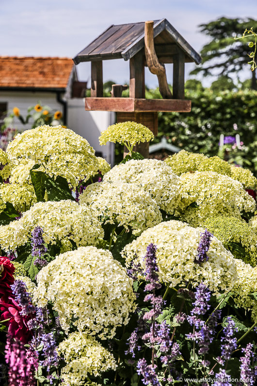 Hampton Court Palace Garden Festival Show Garden in London