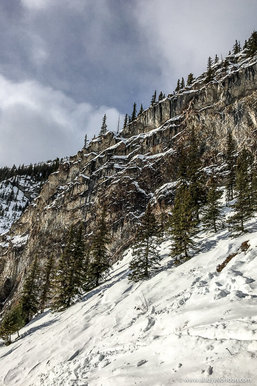 Mount Norquay Ski Resort