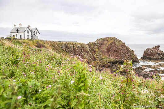 St Abbs, Scottish Borders