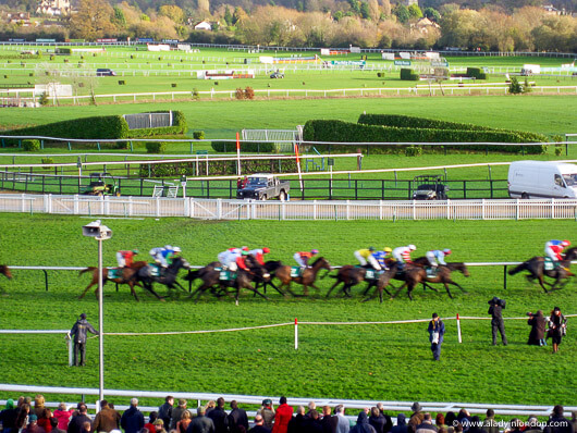 Horse Races at Cheltenham Racecourse