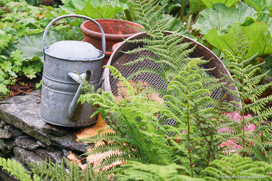 Garden at Hill Top Farm in the Lake District