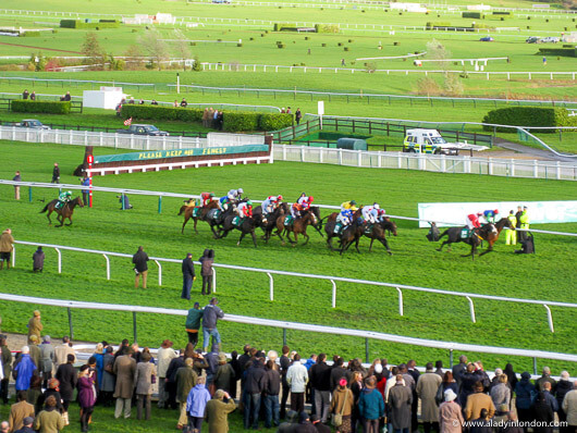 Horse Races at Cheltenham Racecourse
