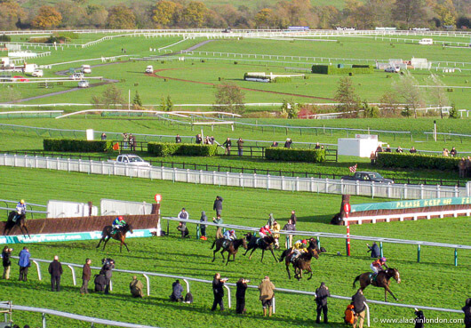 Horse Races at Cheltenham Racecourse