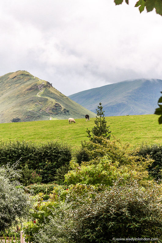 Hills in the Lake District in England