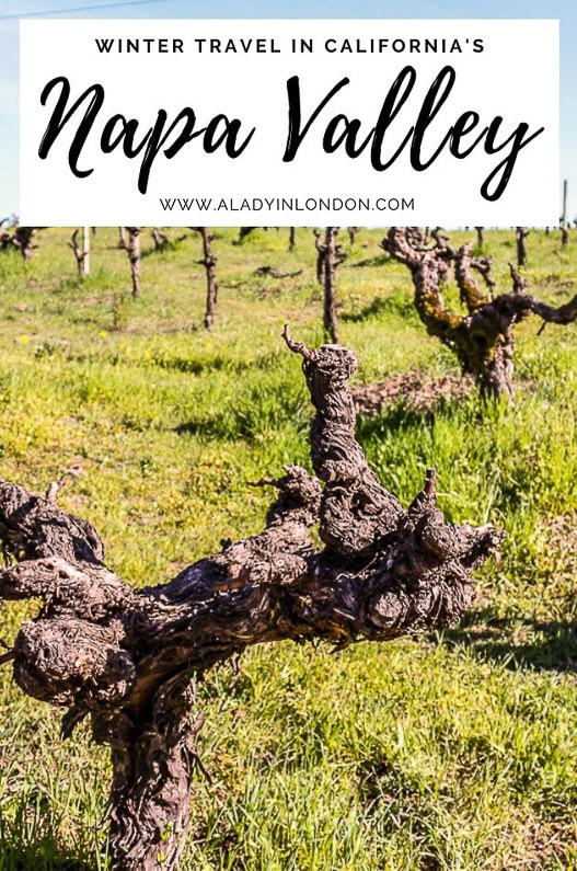 Napa Valley Winter