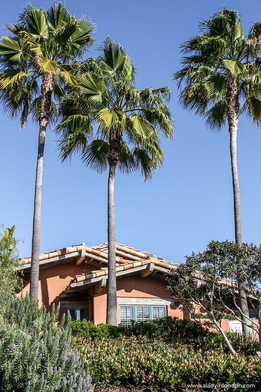 Rancho Valencia Hotel Review