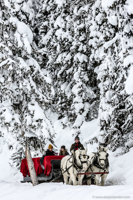 Winter Sleigh Ride in Lake Louise