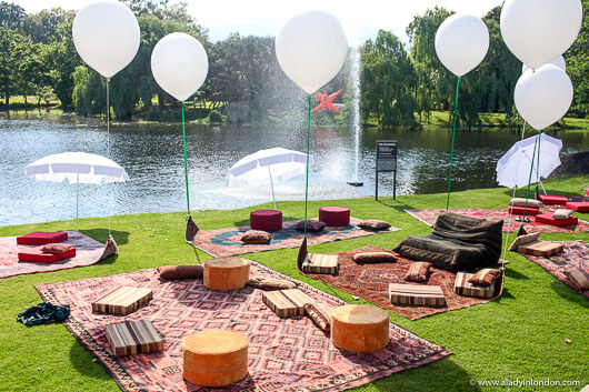 Picnic in Stellenbosch, South Africa
