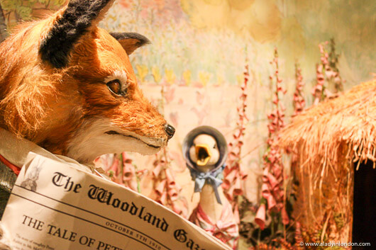 Fox at the World of Beatrix Potter Attraction in Bowness-on-Windermere, England
