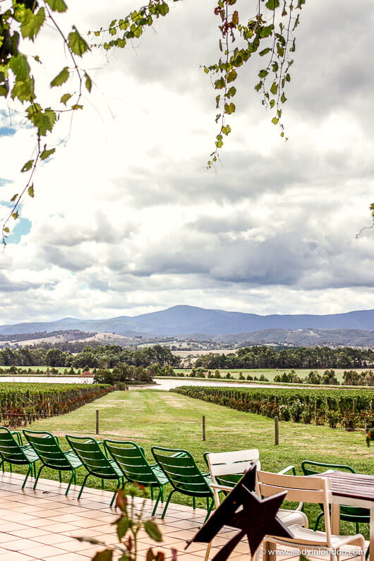 Chandon Winery, Yarra Valley, Australia