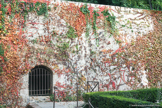 Wall at the Alhambra