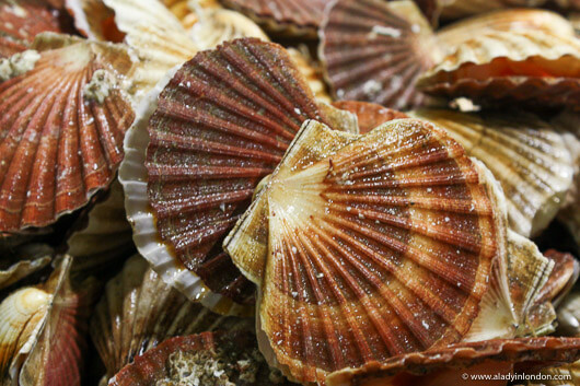 Scallops at Billingsgate fish market in London