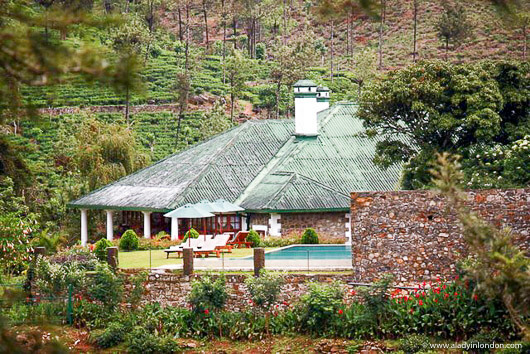 Ceylon Tea Trails Tientsin Bungalow